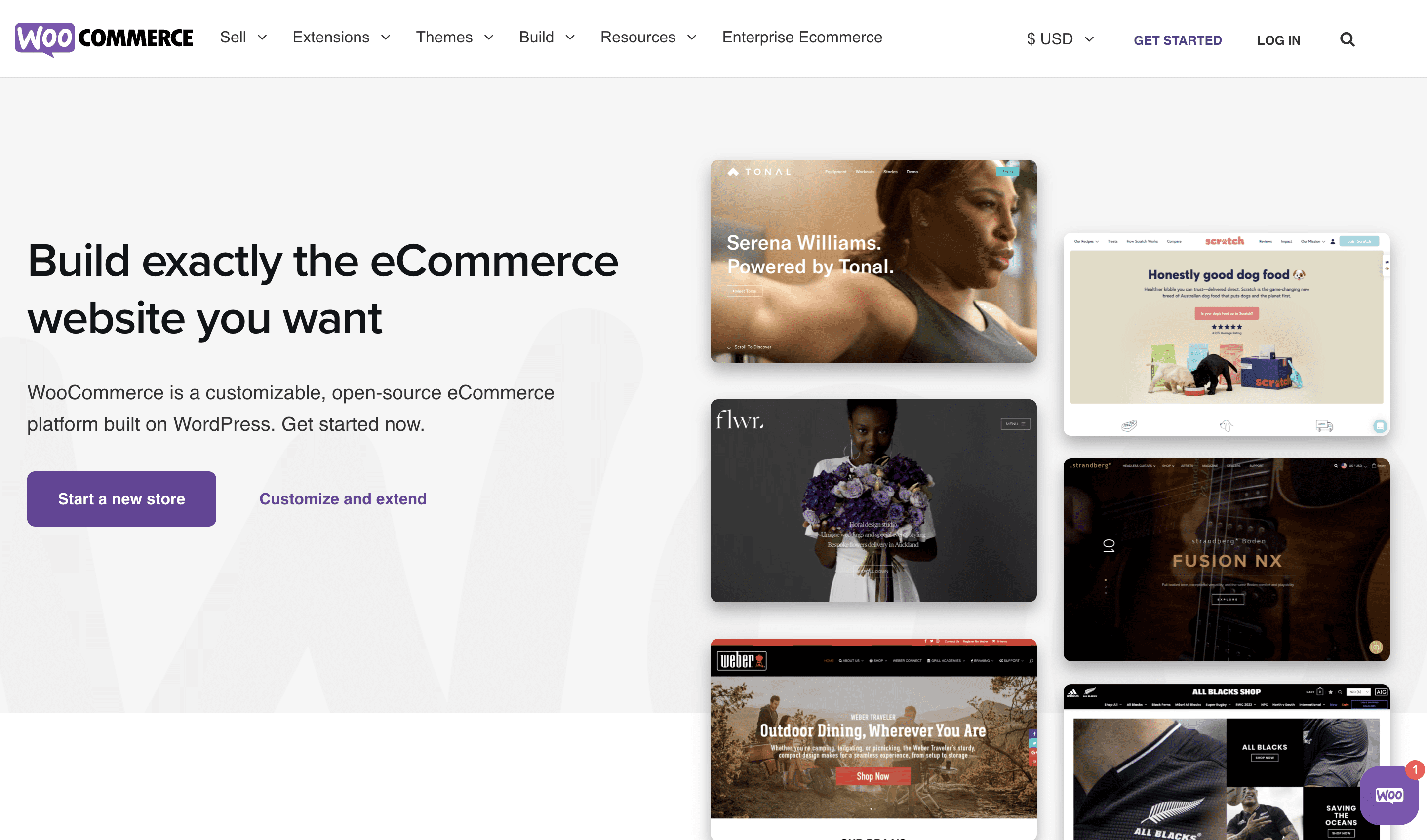 Screenshot of website - woocommerce