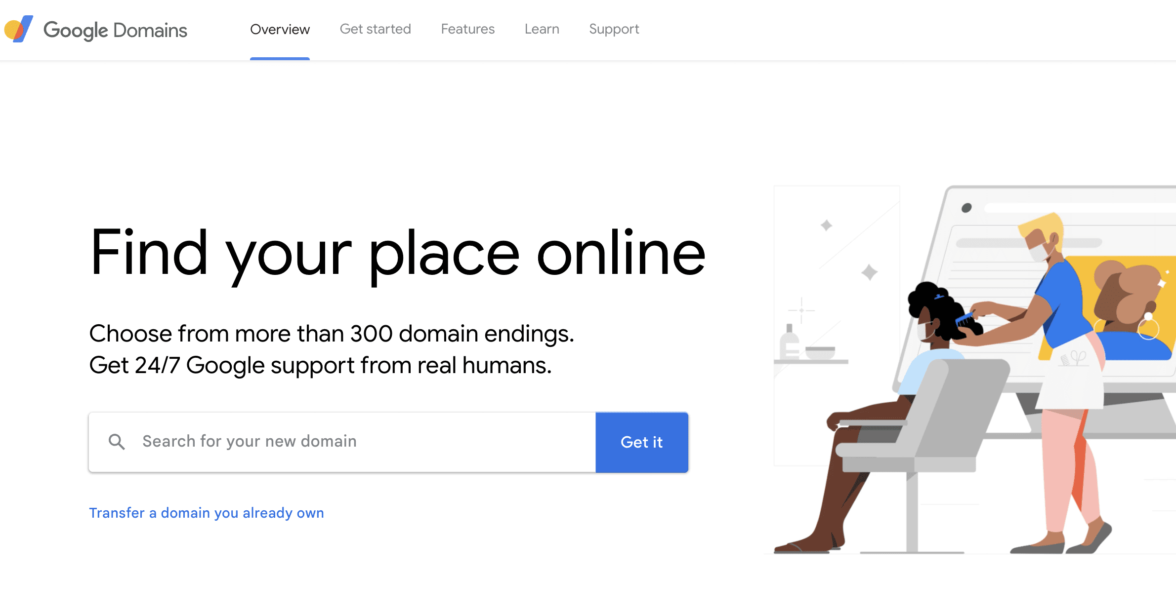 google domain website screenshot